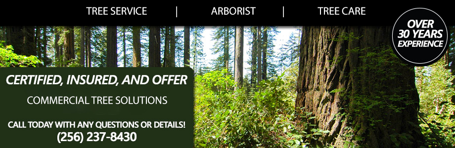 Tree Service Calhoun County AL